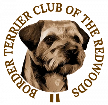 border terrier club of the redwoods